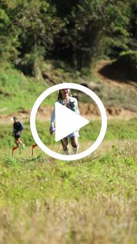 BIB:  <button type="button" onclick="openModal(26566950)" class="btn btn-primary btn-sm float-right" data-toggle="modal" data-target=".modal-high-quality">
                <i class="fa fa-download"></i> Download
                </button>